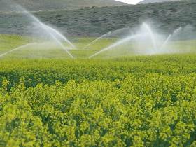 تامین اعتبار آبیاری نوین کشاورزی در آذربایجان غربی