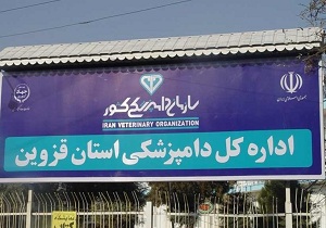 تحقق 100 درصدی تعهد اشتغال در دامپزشکی قزوین