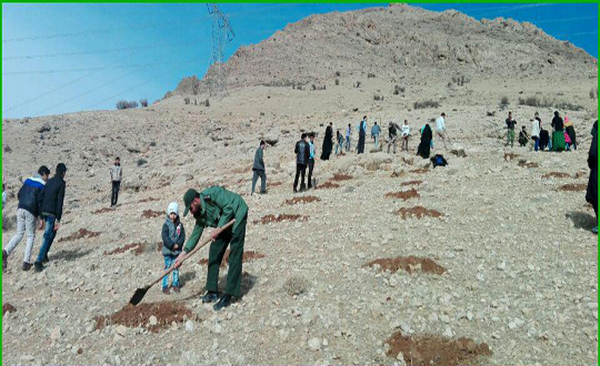 اجرای طرح ملی جنگلانه در بخش ناغان