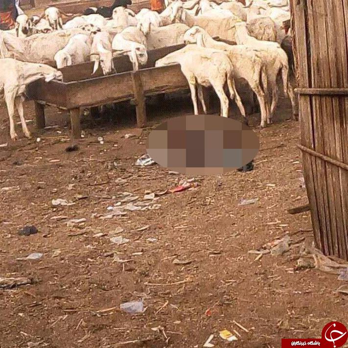 مهاجم زن انتحاری تا سر حد مرگ کتک خورد+تصاویر