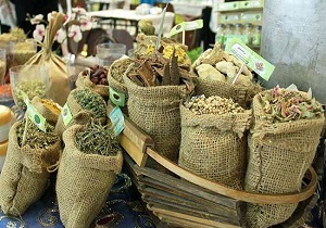 احداث کارخانه فرآوری گیاهان دارویی در اردبیل