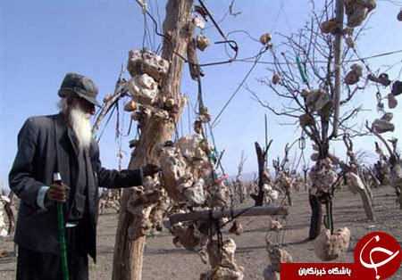چند نقطه عجیب ایران که باید قبل از مرگ دید!