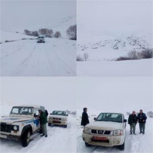 تشدید گشت وکنترل اکوسیستم های کوهستانی نقده
