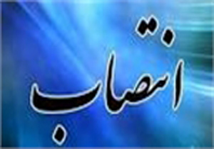 دبیر علمی و اعضای هیات علمی یازدهمین جشنواره شعر فجر منصوب شدند