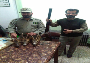 دستگیری شکارچی شوکا در آمل