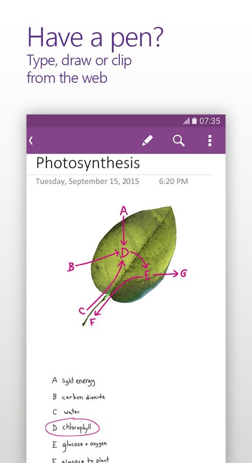 OneNote
