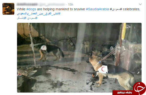 ساختمان پلاسکو