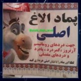 مسئله این است؛ فیزیوتراپی یا پماد الاغ !