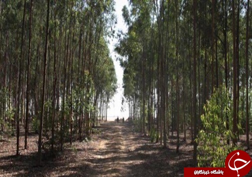 نگاهی گذرا به مهمترین رویدادهای یک بهمن در آذربایجان غربی