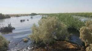 مهار آلودگی نفت قبل از راهیابی به رودخانه دز