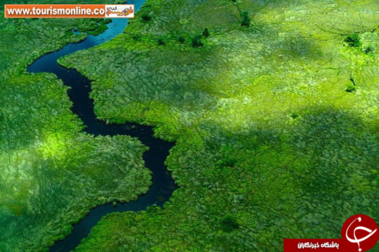 برترین عکس&zwnj;های نشنال جئوگرافیک را ببینید
