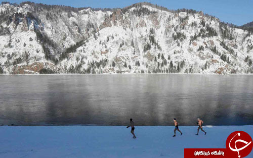 از رژه پنگوئن&zwnj;ها در زوریخ تا مکالمه تلفنی ترامپ و پوتین/////////////////