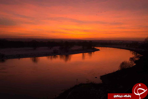 از رژه پنگوئن&zwnj;ها در زوریخ تا مکالمه تلفنی ترامپ و پوتین/////////////////