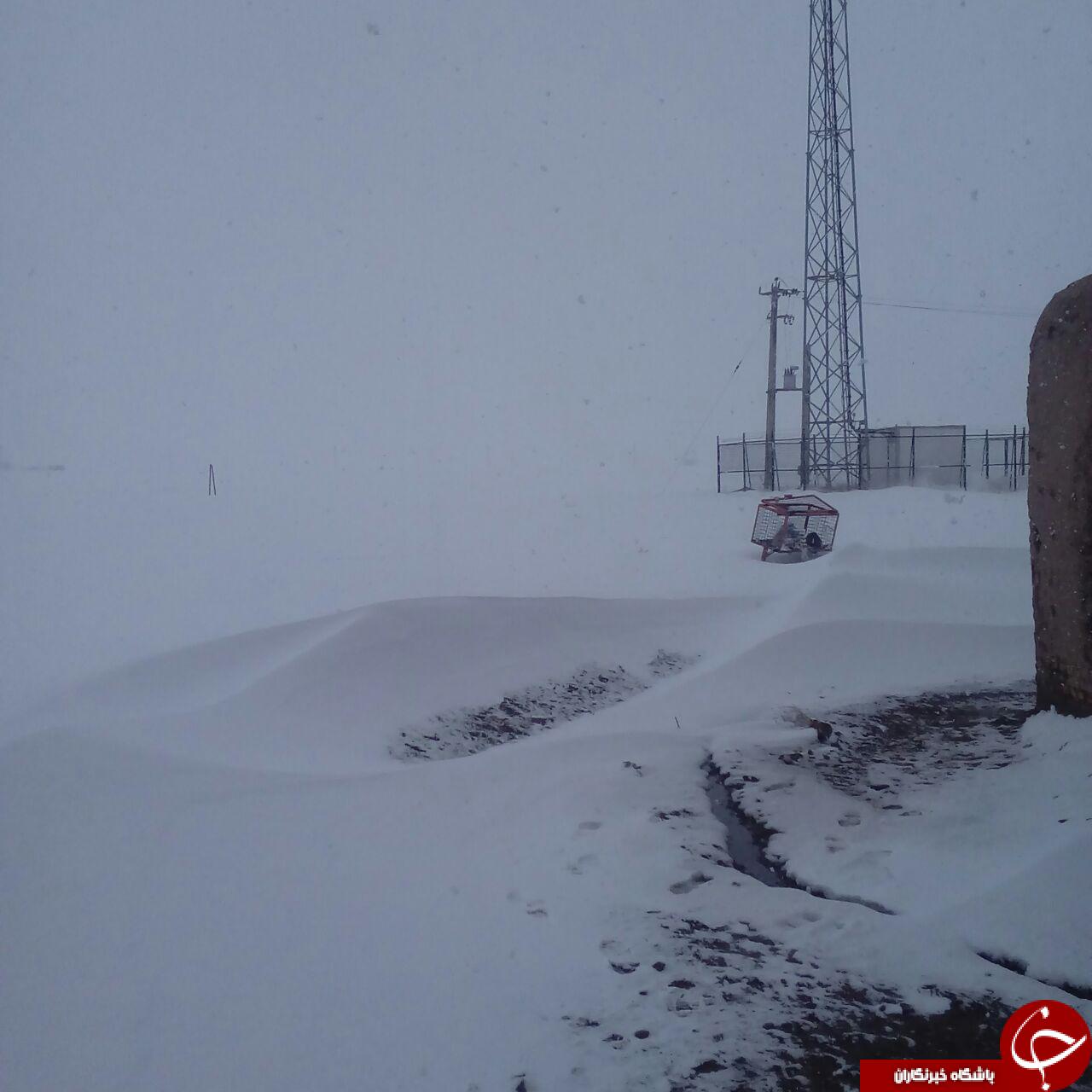 برف دردساز برای منطقه سمیران + فیلم و تصاویر
