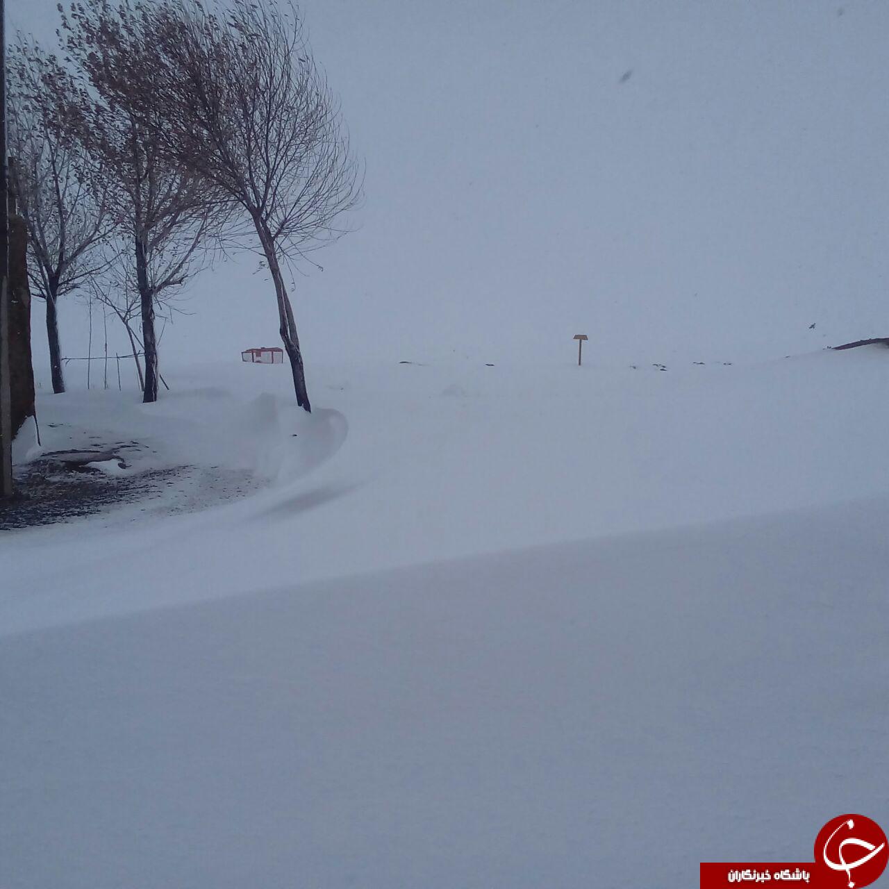 برف دردساز برای منطقه سمیران + فیلم و تصاویر