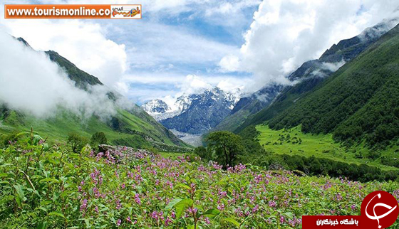 کشوری با ثروتمندترین زن&zwnj;های جهان/ مردی که ادعا می&zwnj;کند 70 سال است هیچ غذایی نخورده! +تصاویر