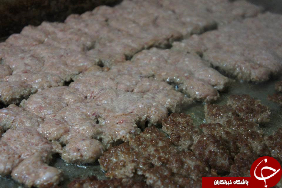 درآمد میلیونی با کباب لقمه !