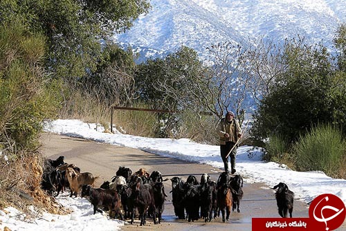 از خودروی زرهی ساخته شده به دست داعش تا اقامه نماز در فرودگاه نیویورک////////////////////////