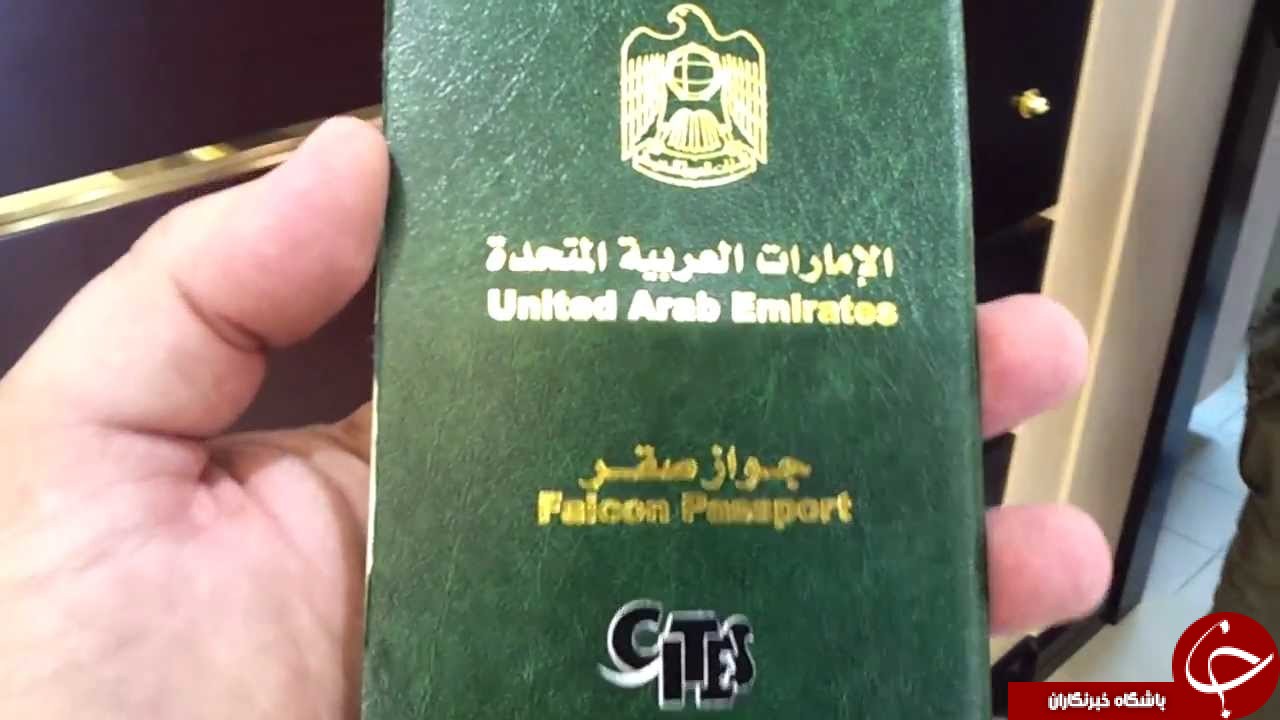 شاهین های یک شاهزاده صعودی 80 صندلی را غرق کردند + فیلم///شاهزاده صعودی با 80 شاهین خود پرواز کرد + فیلم