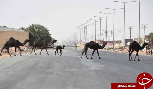 از رزمایش زمستانی روسیه تا پاک کردن نقاشی کشیده شده به دست داعش