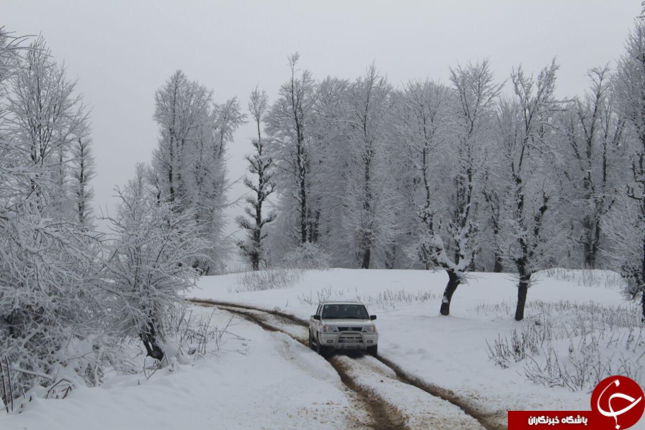 کمک رسانی و امداد به اهالی روستای چیچال + تصاویر