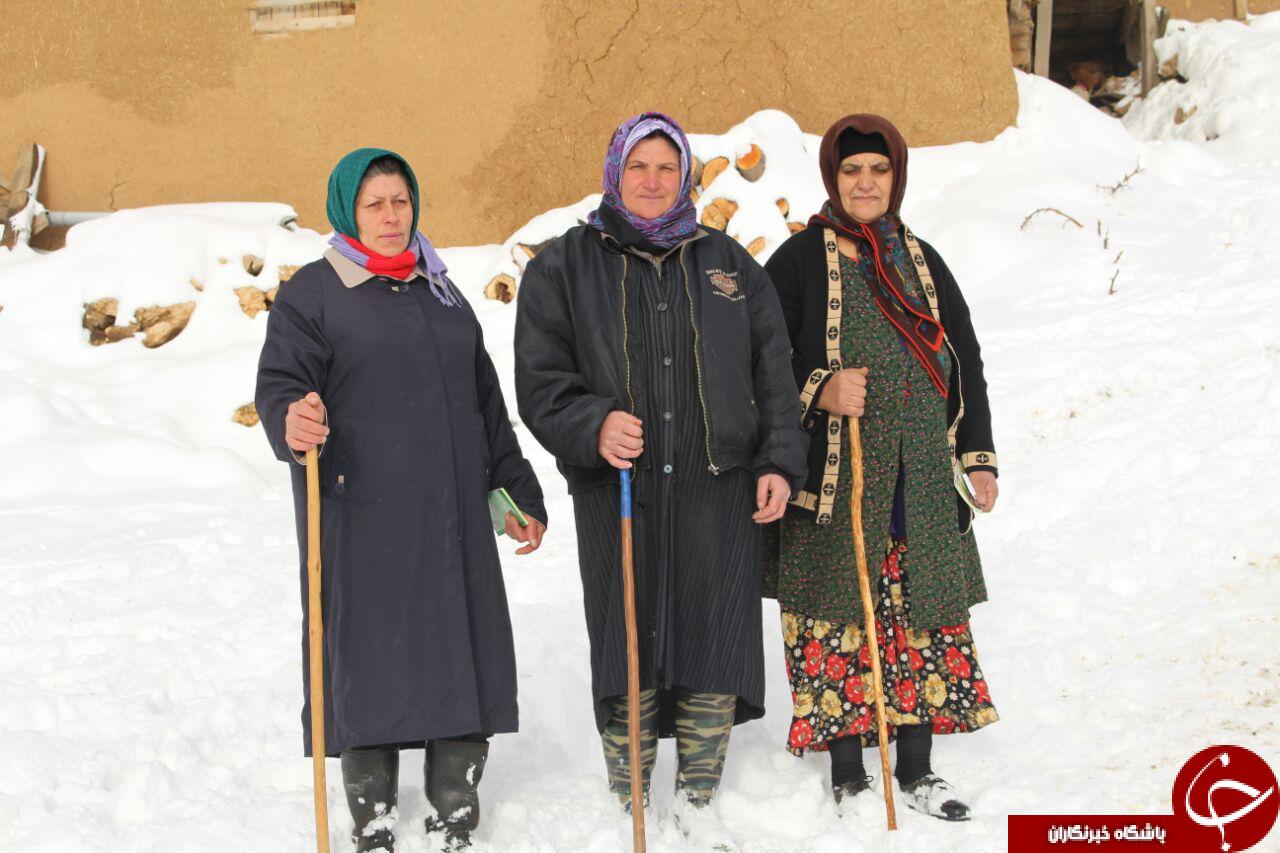 کمک رسانی و امداد به اهالی روستای چیچال + تصاویر