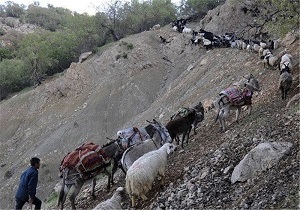 بیمه 4 هزار و 300 خانوار عشایری در اردبیل