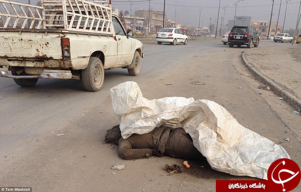 اجساد فاسد داعشی&zwnj;ها خوراک سگها و ماکیان ولگرد موصل شد +تصاویر