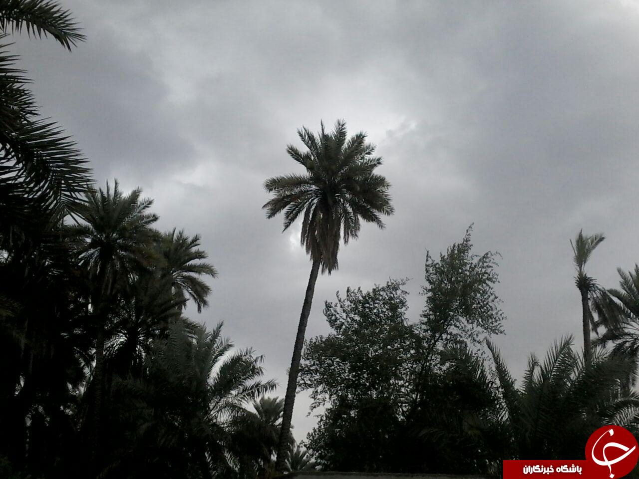 اولین باران زمستانی فین هرمزگان + تصاویر