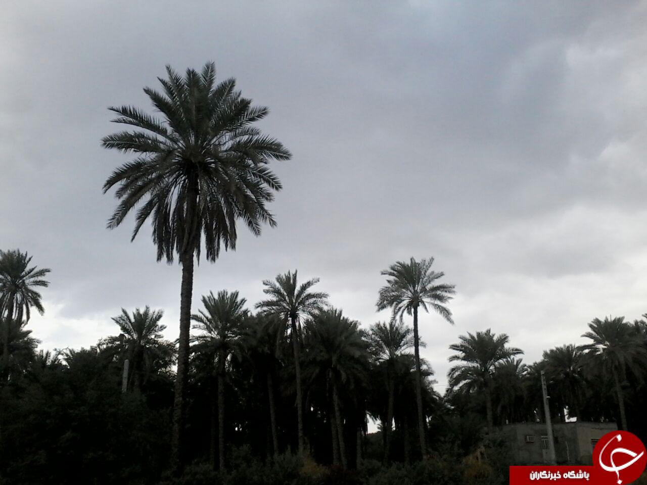 اولین باران زمستانی فین هرمزگان + تصاویر