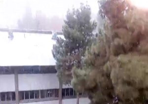 بارش برف زمستانی در تهران + فیلم