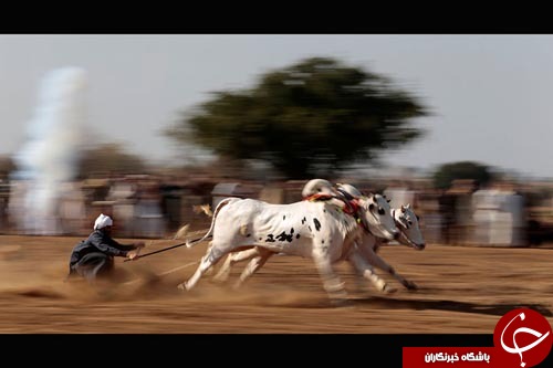 از جاری شدن مواد مذاب به داخل دریا تا واکنش یکی از مدیران یونیسف نسبت به وضع کودکان جهان////
