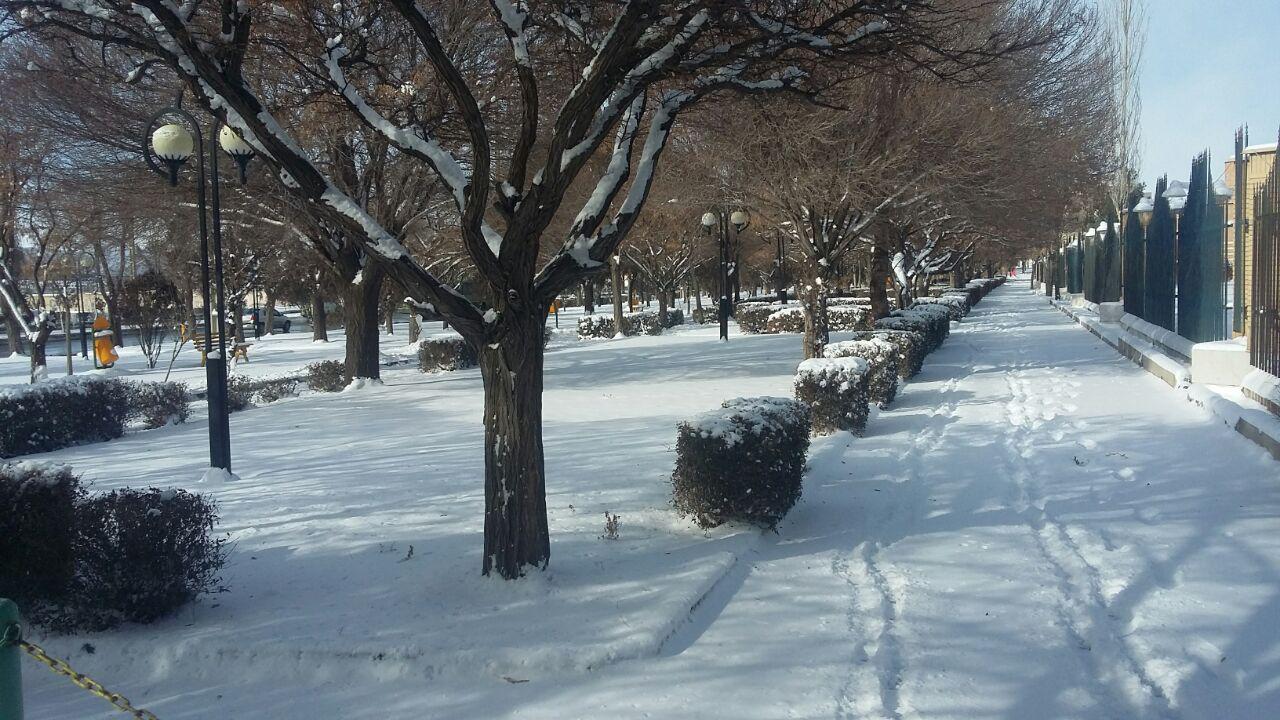 عکس های برفی در زنجان