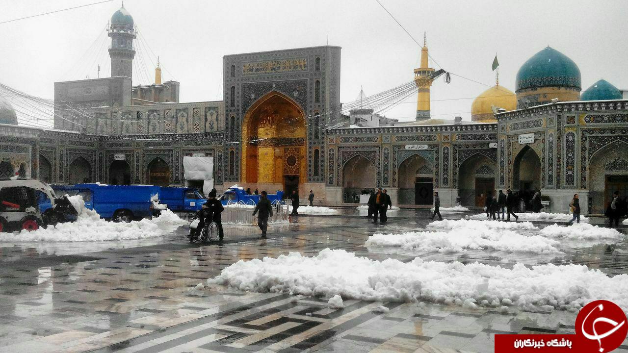 حرم مطهر امام رضا (ع) سفید پوش شد + تصاویر