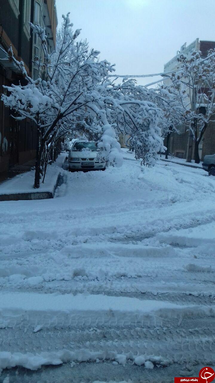 تصاویری زیبای از خیابان های برفی مشهد