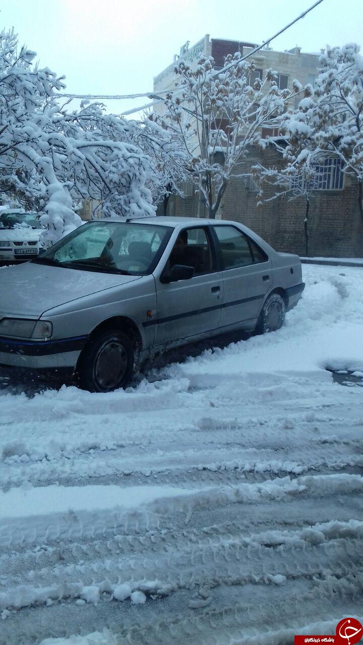 تصاویری زیبای از خیابان های برفی مشهد