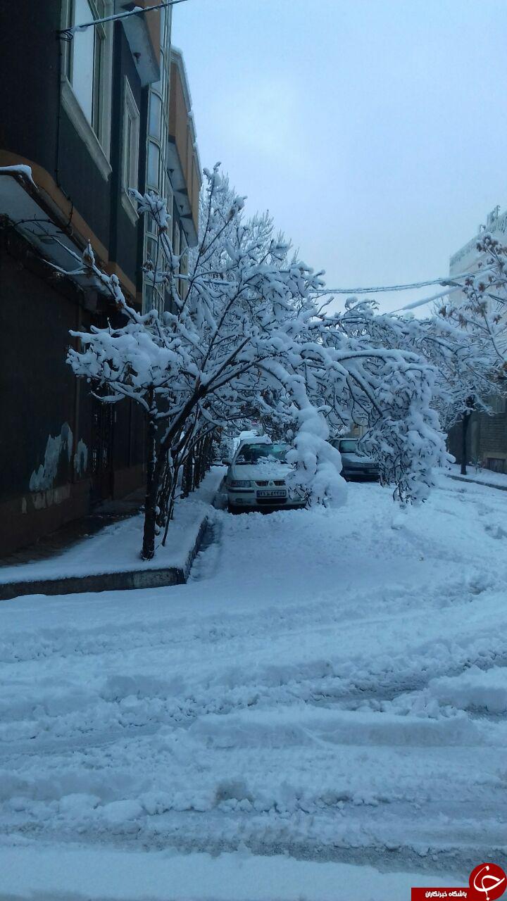 تصاویری زیبای از خیابان های برفی مشهد