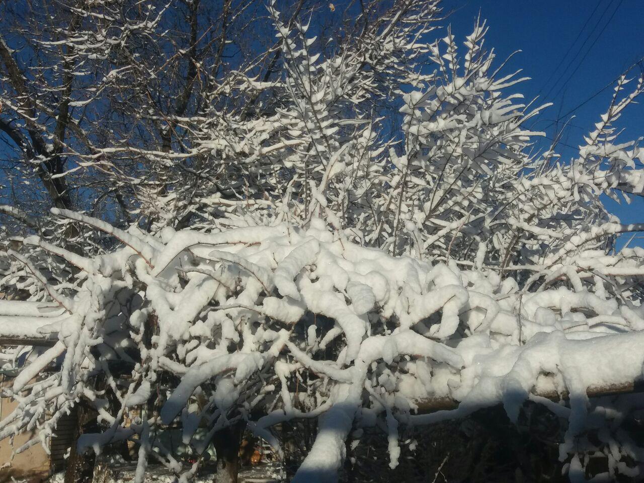 بارش نخستین باران زمستانی در بم