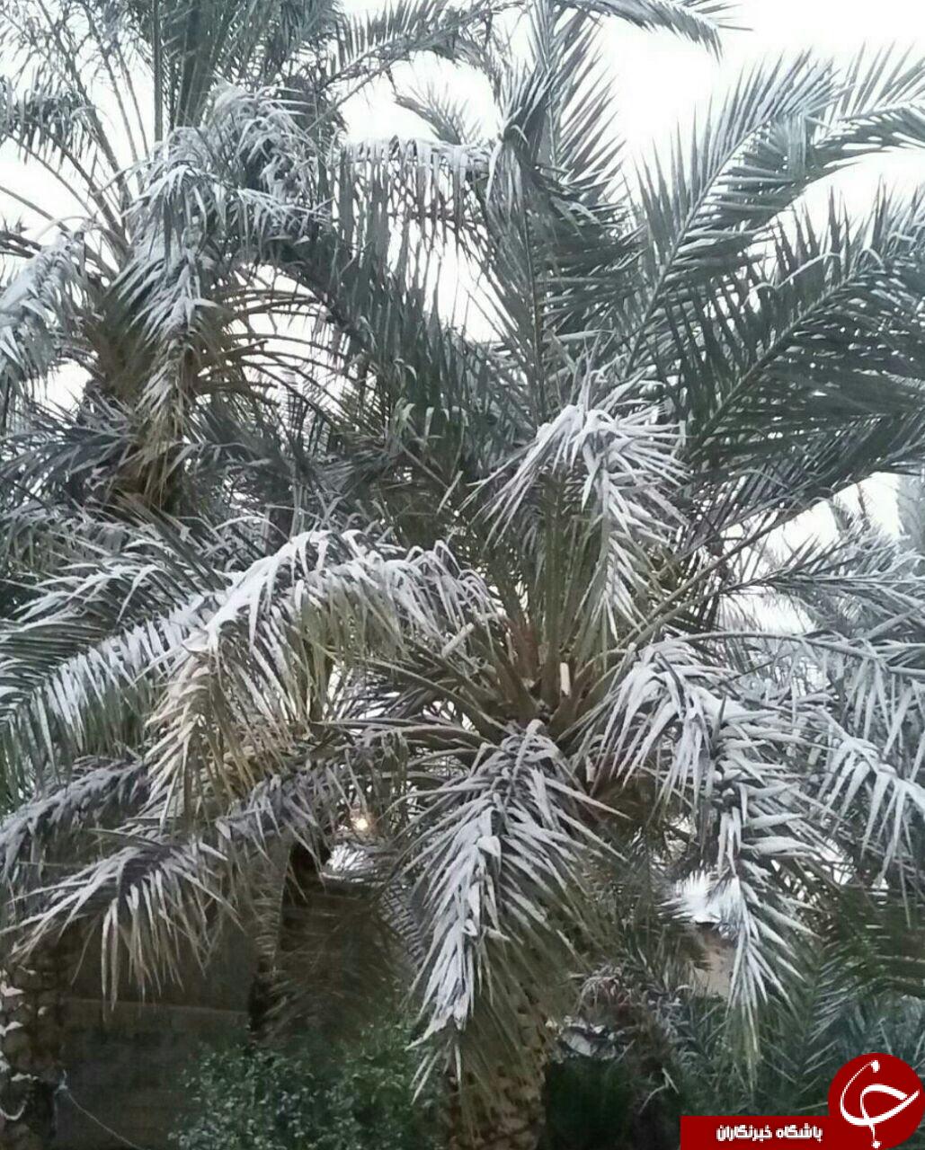 مناظر زیبای برفی پارسیان