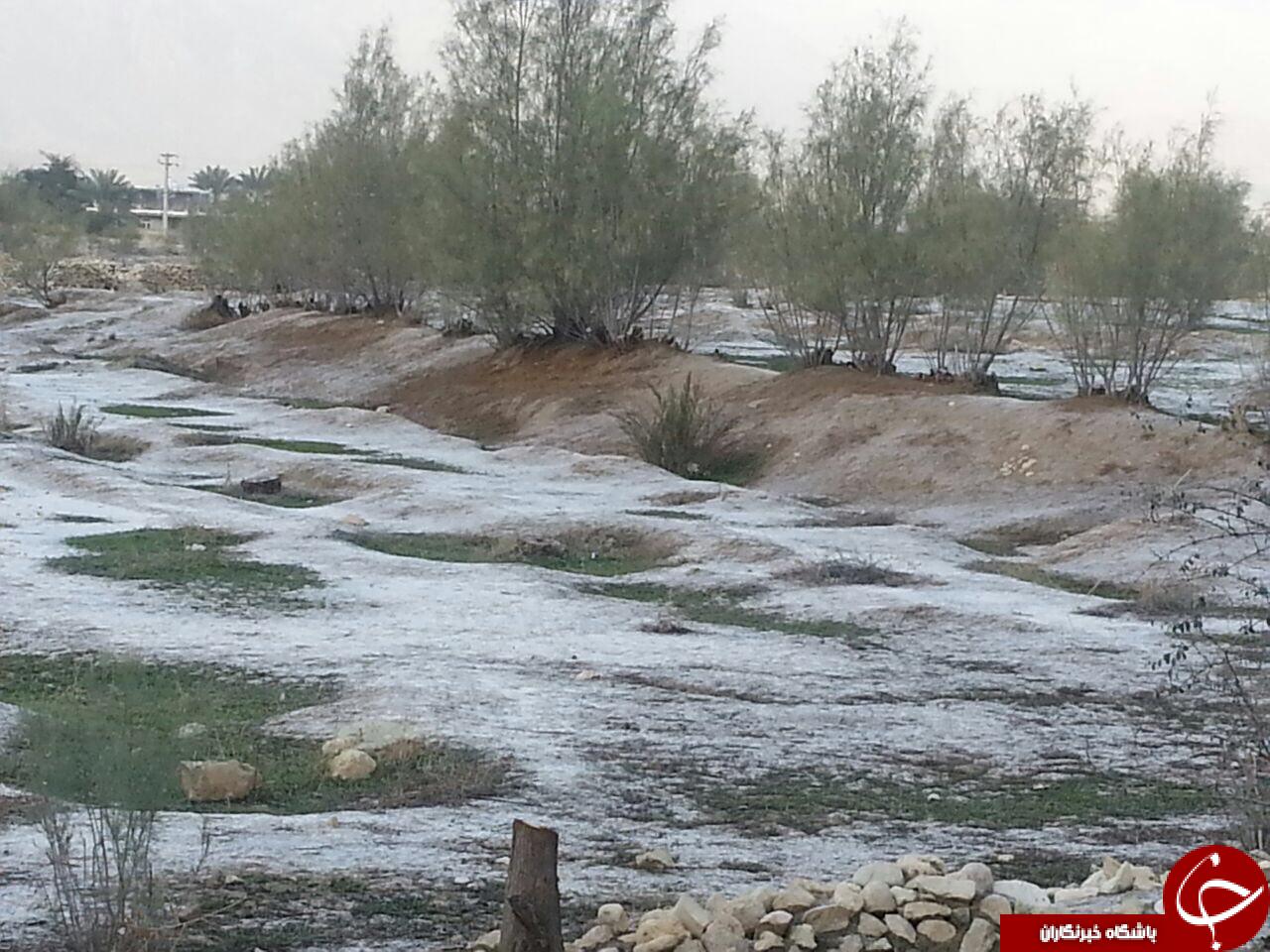 مناظر زیبای برفی پارسیان