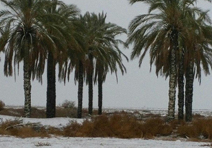بعداز40 سال برف به خنج رسید