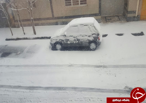 بارش برف سنگین در خراسان جنوبی+تصاویر