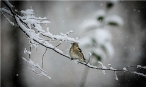 سرما و اندکی تاخیر برای کلاس اولی ها