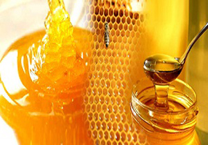 اتحادیه تولید کنندگان عسل در آذربایجان غربی