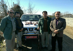 دستگیری شکارچی گوزن در آمل