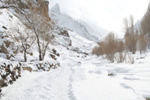 نوزده تن در بدخشان جان باختند