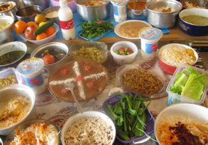 برگزاری جشنواره غذای سالم در خانه تاریخی دهدشتی اصفهان