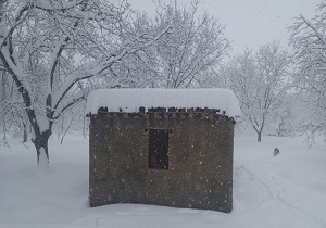بسته