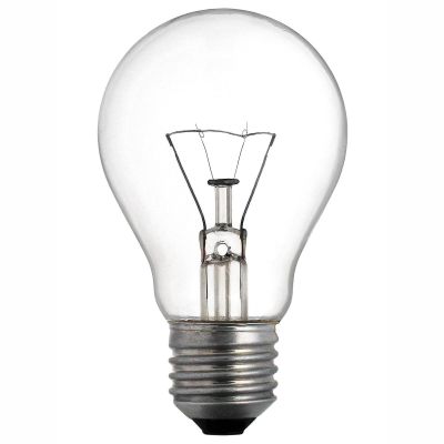 از واردات 8 هزار تنی گاو گوشتی به کشور تا قیمت هر عدد تخم بلدرچین