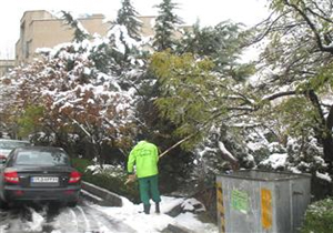 برف تکانی فضای سبز مود